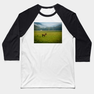Elk in the Valley Baseball T-Shirt